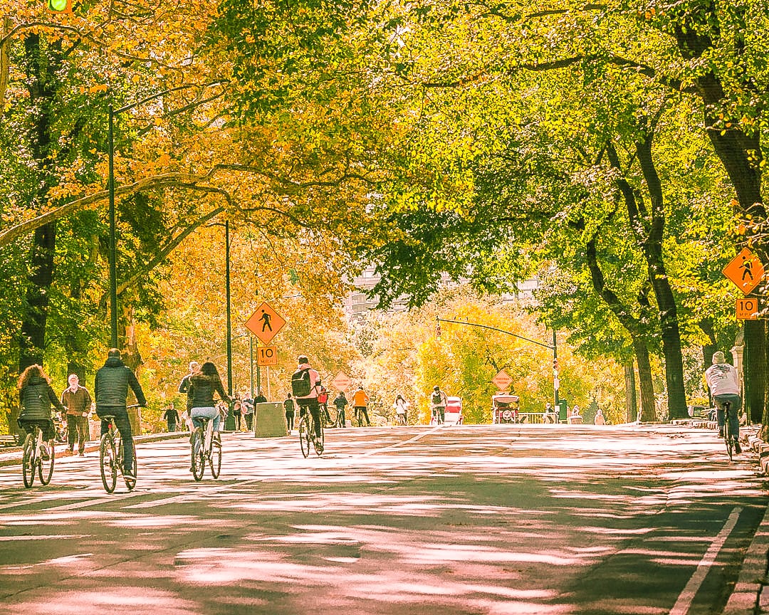 Central Park