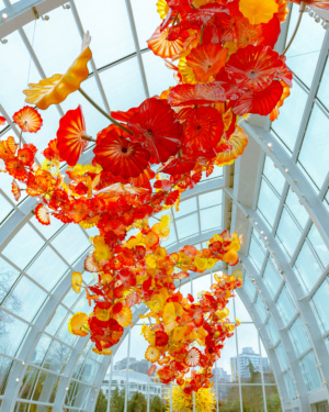 Chihuly glass garden Seattle